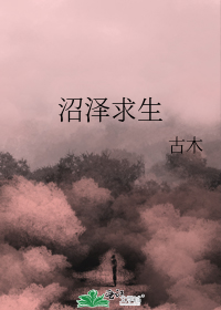 《羽毛